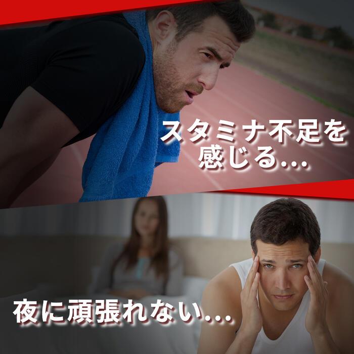 【セレン公式】 アルギニン サプリ 1,000mg 120粒入 30日分 シトルリン 亜鉛 マカ と同時摂取がおススメ |  | 03