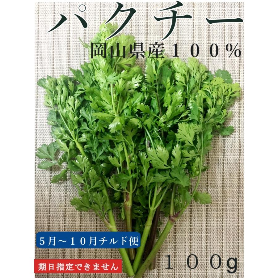 パクチー コリアンダー 岡山 パクチー 特別栽培農産物 パクチー 有機jas認定パクチー 西日本 岡山県産 旬野菜 H16 108 1 50 Celfar 通販 Yahoo ショッピング