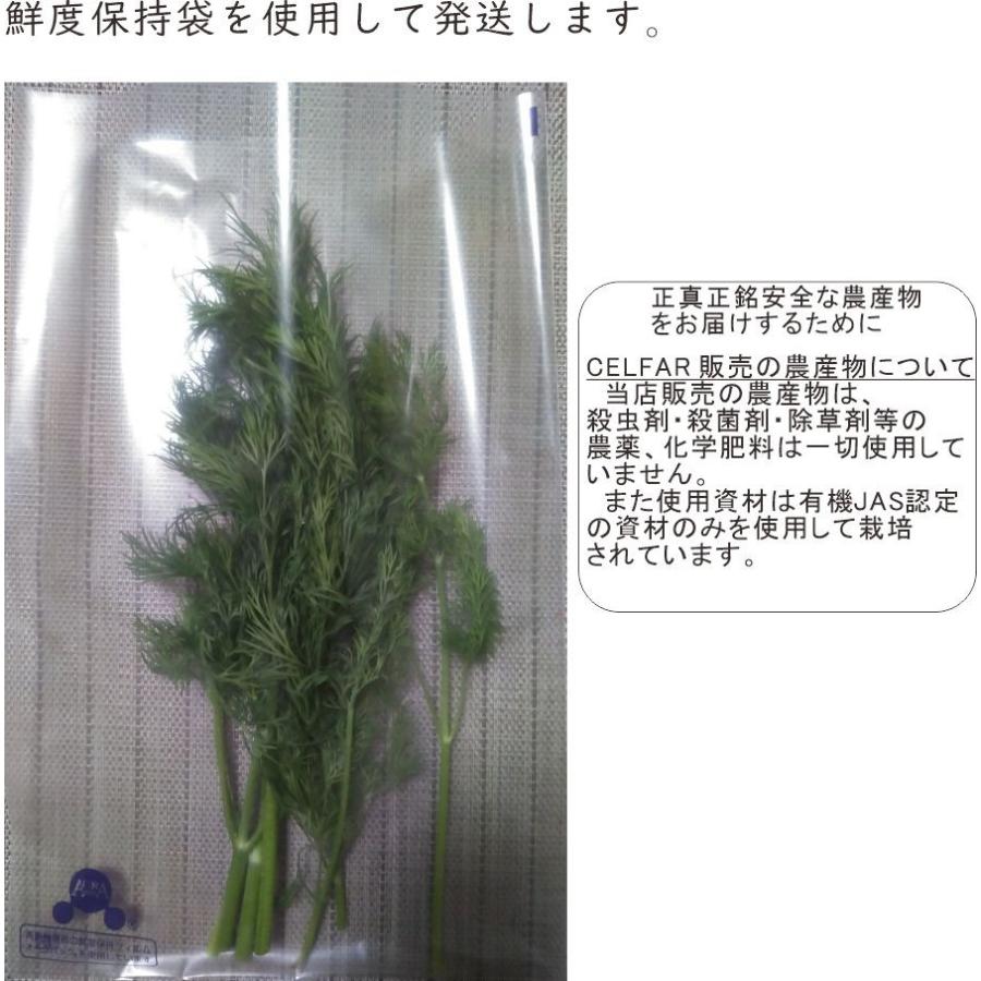 ディル イノンド 特別栽培農産物 ハーブ 西日本 岡山県産 旬野菜 H19 Dill Celfar 通販 Yahoo ショッピング