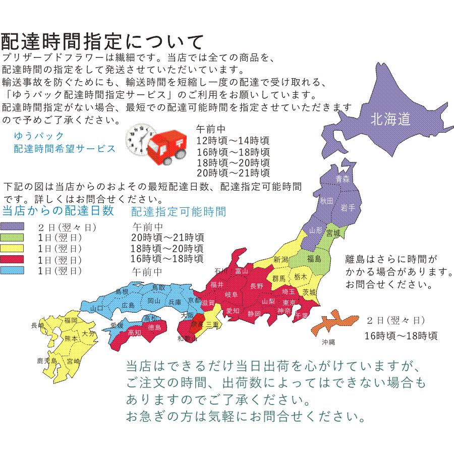 ディル　イノンド　特別栽培農産物 　ハーブ　西日本　岡山県産　旬野菜｜celestial-farm｜05