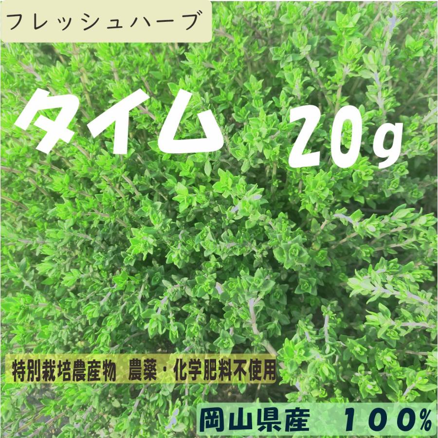 タイム Thyme 20g フレッシュハーブ 特別栽培農産物 無農薬 西日本 岡山県産旬野菜 h20ThymeCelfar 通販