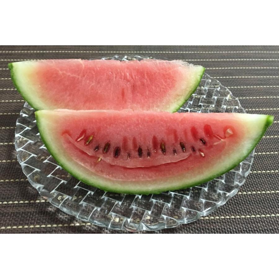 オーガニック 有機 ミニ 乙女すいか 無農薬 無化学肥料スイカ 西日本 岡山県産旬野菜 K 16 001 01 Celfar 通販 Yahoo ショッピング