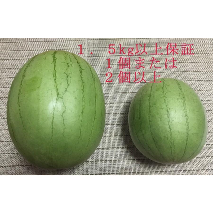 オーガニック 有機 ミニ 乙女すいか 無農薬 無化学肥料スイカ 西日本 岡山県産旬野菜 K 16 001 01 Celfar 通販 Yahoo ショッピング