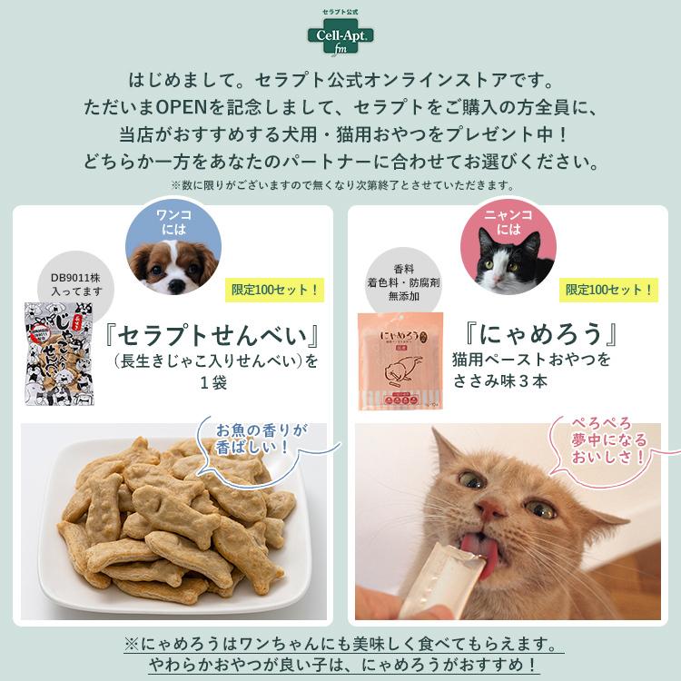 セラプト公式 ドリームラブ Premium 猫用 40g 送料無料ネコポスで発送 返金保証 選べるおまけつき 推奨