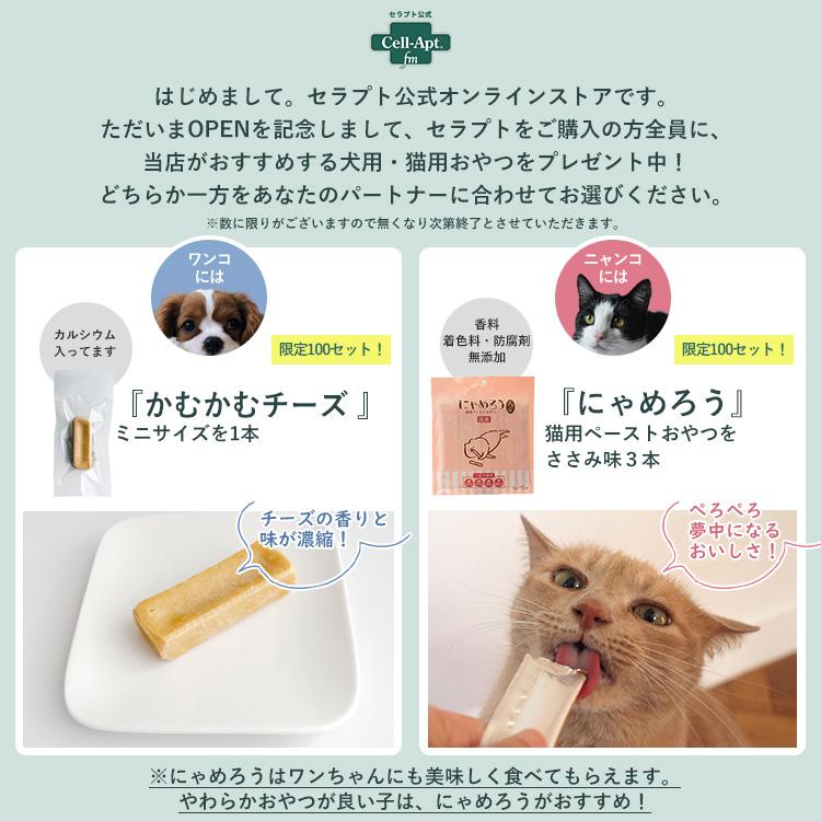 セラプト公式 ドリームラブ Premium 犬用 200g（+選べるおまけつき）【返金保証】【送料無料ネコポスで発送】｜cell-apt｜06