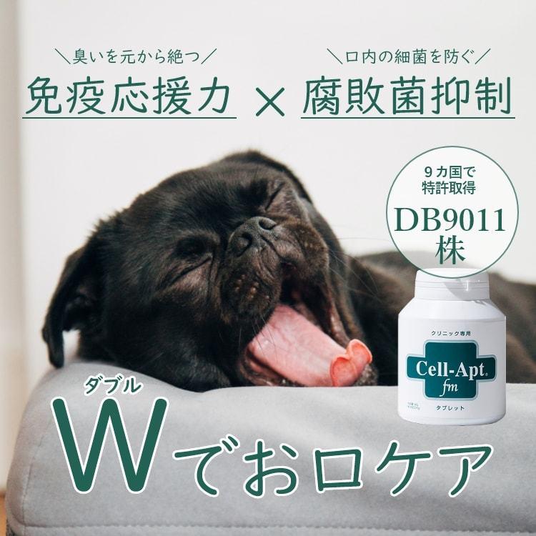 セラプト公式 犬猫用 セラプトfm 濃縮パウダー 20g（+選べるおまけつき）【送料無料ネコポスで発送】｜cell-apt｜08