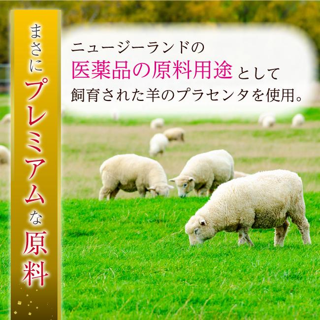 公式店 高級サプリメント 羊プラセンタ Cell Cellar Premium セルセラ プレミアム 美容 健康 エイジングケア ニュージーランド 約12か月分 12箱 Cell Cellar Premium12 Cell Cellar Yahoo 店 通販 Yahoo ショッピング