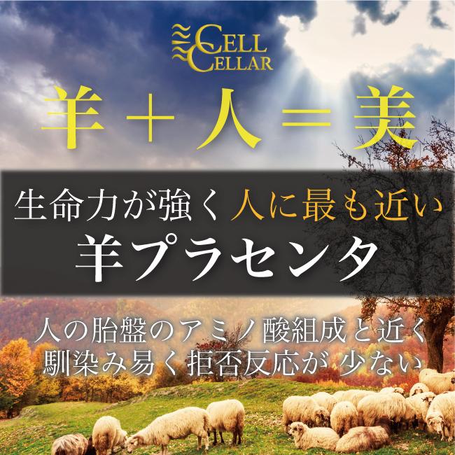 羊プラセンタ 公式店 高級サプリメント CELL CELLAR PREMIUM セルセラ