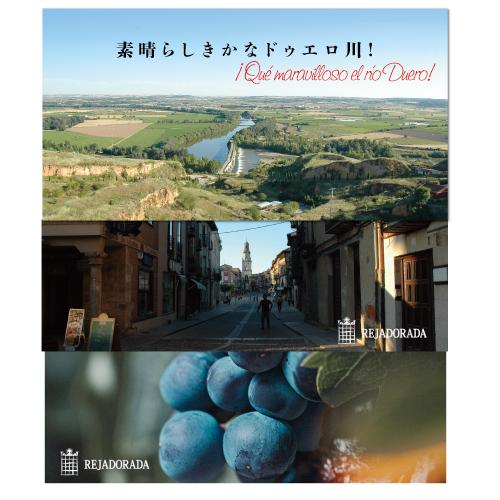 6本セット 赤ワイン アントナ ガルシア レハドラーダ 2018 750ml スペイン トロ テンプラニーリョ 辛口 敬老の日 浜運 レハドラーダ スペイン 敬老の日 2018 浜運 アントナ トロ 750ml ガルシア 6本セット テンプラニーリョ 辛口 赤ワイン FK1552637008(14520円)