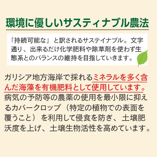 6本セット チャンデロサス グランキュヴェ 2016 750ml スペイン リアス バイシャス 白ワイン 長S 敬老の日 リアス