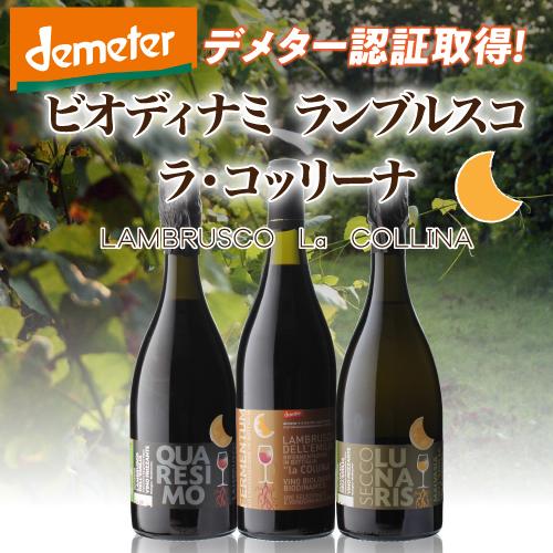 6本セット スパークリングワイン ルナリス セッコ IGT マルヴァジア セッコ ラ コッリーナ 750ml イタリア 微発泡 白泡 デメター 浜運 敬老の日 1975年 名前入り彫刻 生まれ年 赤ワイン ラルシヴィスト リヴザルト 甘口 昭和50年 名入れ 誕生日プレゼント 木箱入 YW1100953105(10296円)