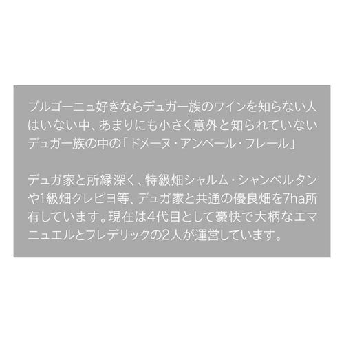 送料無料 赤ワイン ジュヴレ シャンベルタン 1er エストゥルネル サン ジャック 2013 アンベール フレール 750ml フランス ブルゴーニュ サン アンベール ジュヴレ 1er エストゥルネル フレール 750ml