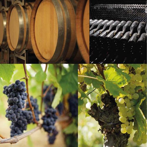 ★11時間以内発送★美品 6本セット 赤ワイン ニュイ サン ジョルジュ 2015 フランソワ ショーヴォネ 750ml フランス ブルゴーニュ 辛口 ピノ ノワール 長S 【6630041927】(23232円)