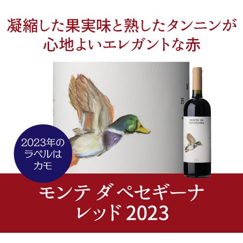 赤ワイン モンテ ダ ペセギーナ レッド (2023) 750ml ポルトガル アレンテージョ 浜運A | ブランド登録なし | 06