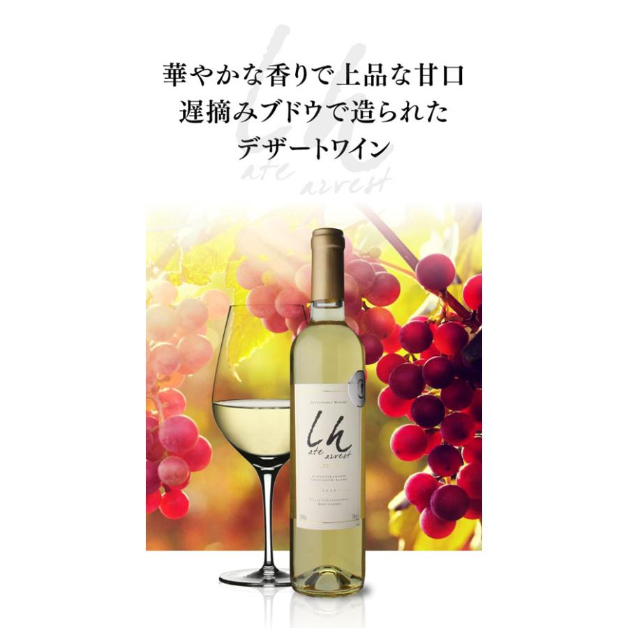 ケース 1本当たり1,100 円(税込) 送料無料 インドミタ レイトハーベスト 2020 500 ml 6本入 チリ カサブランカヴァレー 長S|cellar|02