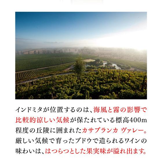 ケース 1本当たり1,100 円(税込) 送料無料 インドミタ レイトハーベスト 2020 500 ml 6本入 チリ カサブランカヴァレー 長S|cellar|03