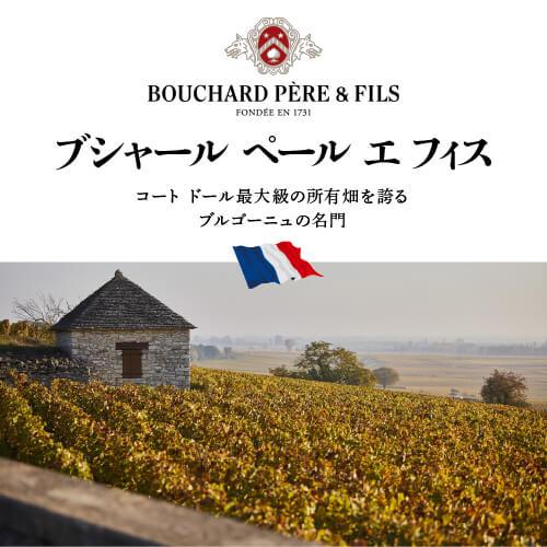 赤ワイン ブルゴーニュ　ピノノワール　ラヴィニエブシャール　ペール＆フィスフランス ブルゴーニュ1,880円(税別)均一 長S 虎 | ブランド登録なし | 01