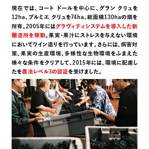 赤ワイン ブルゴーニュ　ピノノワール　ラヴィニエブシャール　ペール＆フィスフランス ブルゴーニュ1,880円(税別)均一 長S 虎 | ブランド登録なし | 03