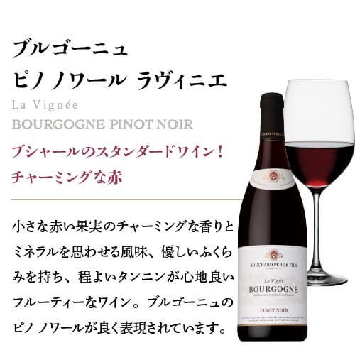 赤ワイン ブルゴーニュ　ピノノワール　ラヴィニエブシャール　ペール＆フィスフランス ブルゴーニュ1,880円(税別)均一 長S 虎 | ブランド登録なし | 05