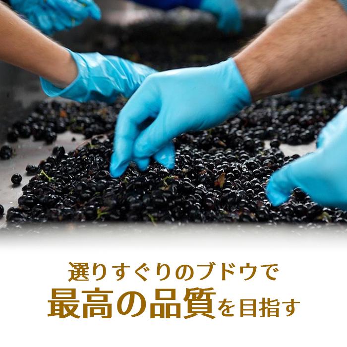 ワイン カサーレ ヴェッキオ モンテプルチアーノ ダブルッツォ 750ml ファルネーゼ イタリア 赤ワイン Casale Vecchio Montepulciano 長S 虎 | ブランド登録なし | 06