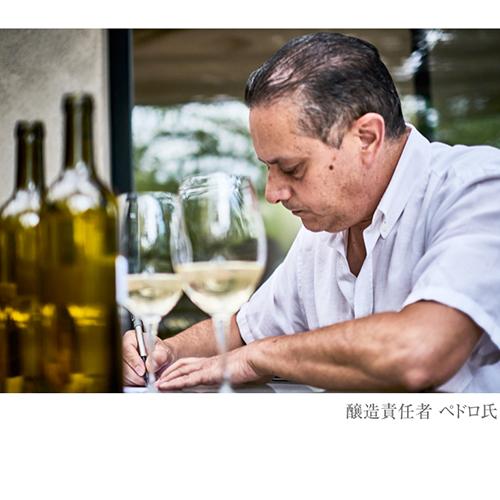 ワイン ロジャーグラート カヴァ ゴールド ブリュット 750ml 箱なし スパークリングワイン 泡  浜運A | ブランド登録なし | 13