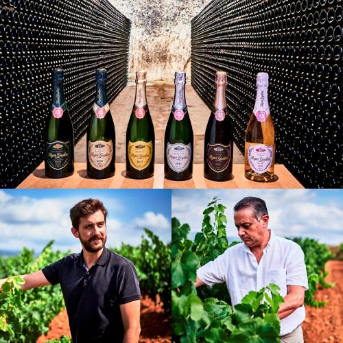 ワイン ロジャーグラート カヴァ ゴールド ブリュット 750ml 箱なし スパークリングワイン 泡  浜運A | ブランド登録なし | 07