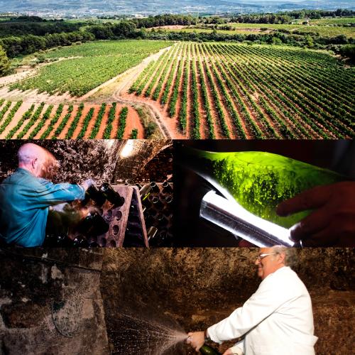 ワイン ロジャーグラート カヴァ ゴールド ブリュット 750ml 箱なし スパークリングワイン 泡  浜運A | ブランド登録なし | 08