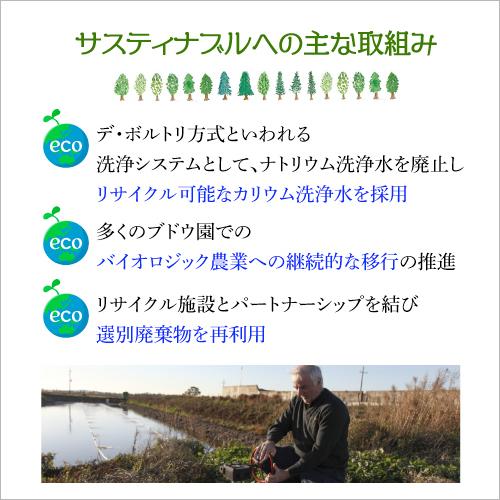 ボルトリ・カスク・シャルドネ　2L×6箱【ケース(6箱入)】【送料無料】[ボックスワイン][BOX][長S] | ブランド登録なし | 06