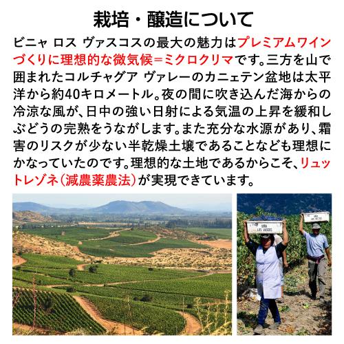 ワイン ロス ヴァスコス ソーヴィニヨンブラン チリ 白ワイン ロスバスコス likaman_LOV 手土産 お祝い ギフト 長S 虎 | ブランド登録なし | 03