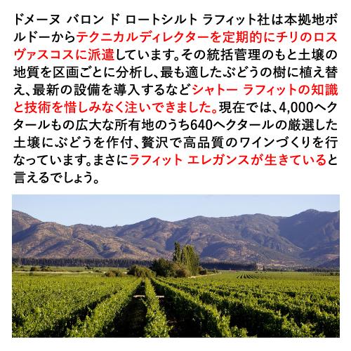 ワイン ロス ヴァスコス ソーヴィニヨンブラン チリ 白ワイン ロスバスコス likaman_LOV 手土産 お祝い ギフト 長S 虎 | ブランド登録なし | 04