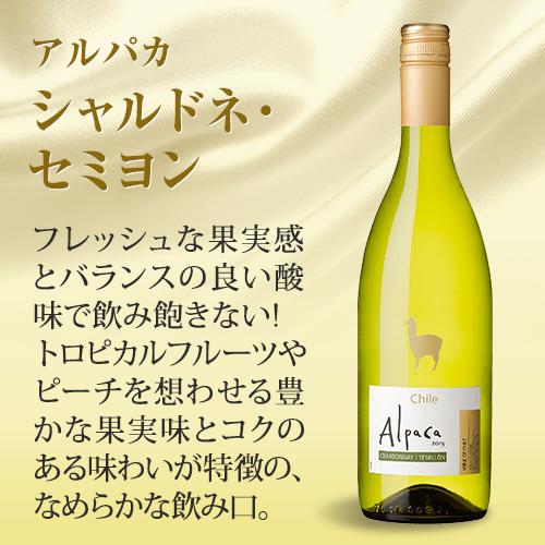 Alpaca 白ワイン 12本 セット サンタ ヘレナ アルパカ シャルドネ