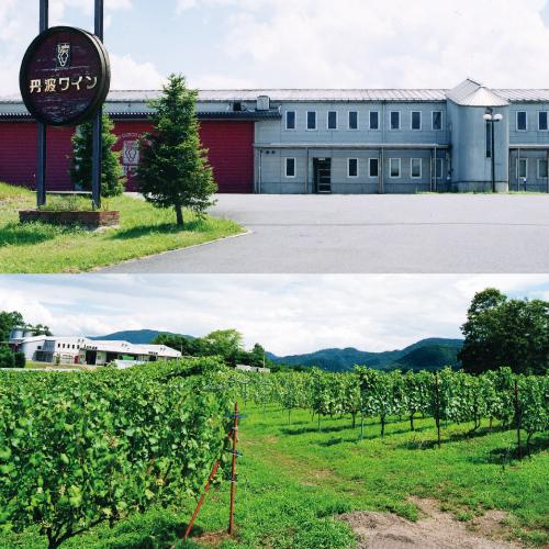 スパークリングワイン 酸化防止剤無添加 てぐみ ロゼ  丹波ワイン 750ml 日本 マスカット・ベーリーA ロゼワイン 辛口 ギフト | ブランド登録なし | 04