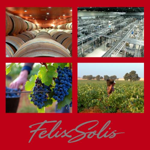 ペナソル サングリア 1Lパック Penasol Sangria スペイン 紙パック フルーツワイン 甘口 長S 虎 お祝い ギフト | ブランド登録なし | 12