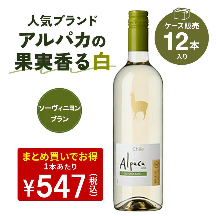 アルパカワイン 白750ml 12本入り2箱+10本入り1箱 Alpaca 白ワイン 12本 セット サンタ ヘレナ アルパカ ソーヴィニヨン