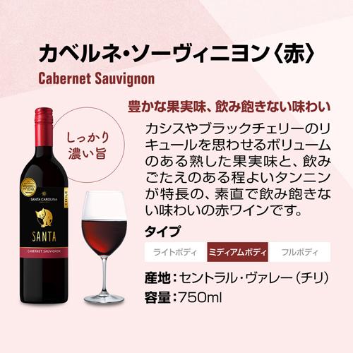 赤ワインセット サンタ バイ サンタ カロリーナ　カベルネ ソーヴィニヨン 750ml 12本 ケース販売 RSL あすつく｜cellar｜02