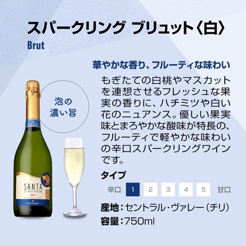 ワイン サンタ バイ サンタ カロリーナ スパークリング ブリュット 手土産 お祝い ギフト 虎 長S | ブランド登録なし | 01