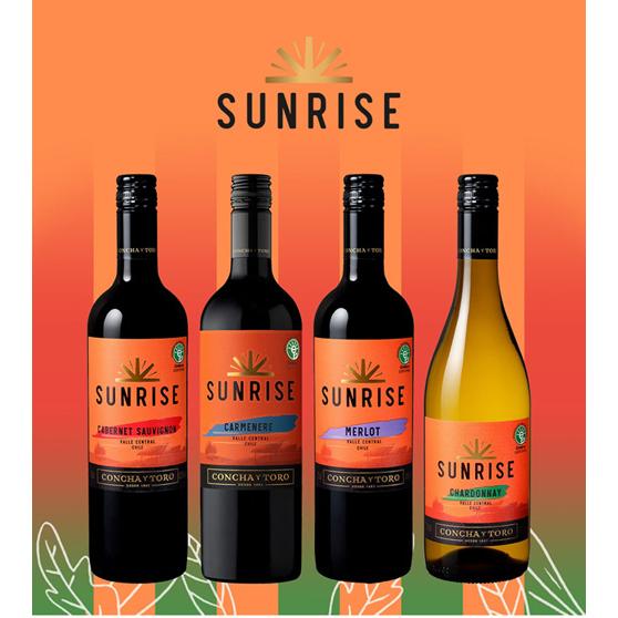 ワイン サンライズ カベルネ ソーヴィニヨン 手土産 お祝い ギフト 虎 長S | ブランド登録なし | 01