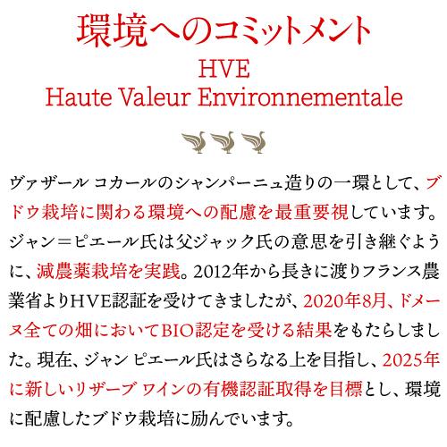 シャンパン シャンパーニュ ヴァザール コカール ブリュット レゼルヴ ブラン ド ブラン NV ハーフ 375ml 浜運A | ブランド登録なし | 07