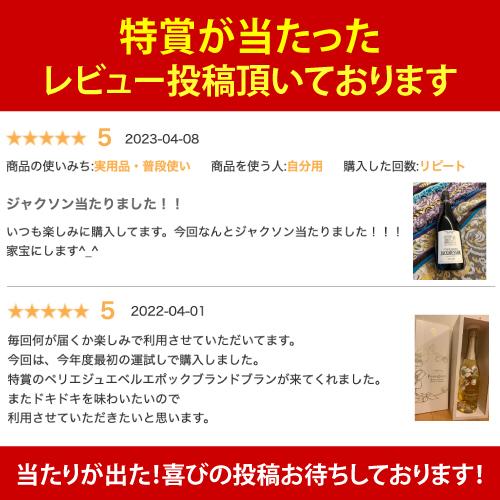 シャンパン 高級 プレミアム シャンパン福袋 111弾 記念 特別編 高級 シャンパンを探せ 特賞3種類 ドンペリP2 など 先着300本 福袋 WK くじ | ブランド登録なし | 01