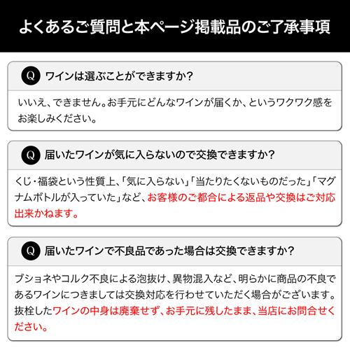 シャンパン 高級 プレミアム シャンパン福袋 108弾 高級 シャンパンを探せ ドンペリ P2 先着300本 福袋 WK くじ | ブランド登録なし | 20