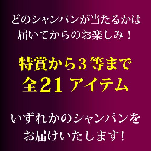 シャンパン 高級 プレミアム シャンパン福袋 108弾 高級 シャンパンを探せ ドンペリ P2 先着300本 福袋 WK くじ | ブランド登録なし | 04
