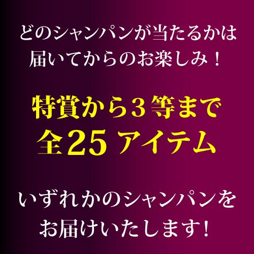 シャンパン 高級 プレミアム シャンパン福袋 111弾 記念 特別編 高級 シャンパンを探せ 特賞3種類 ドンペリP2 など 先着300本 福袋 WK くじ | ブランド登録なし | 04