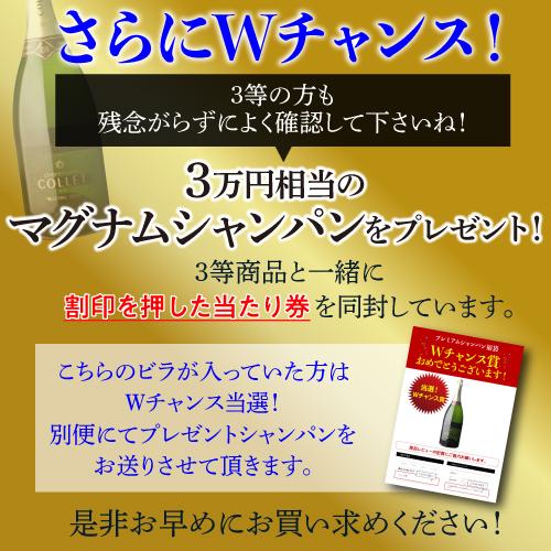 シャンパン 高級 プレミアム シャンパン福袋 111弾 記念 特別編 高級 シャンパンを探せ 特賞3種類 ドンペリP2 など 先着300本 福袋 WK くじ | ブランド登録なし | 05