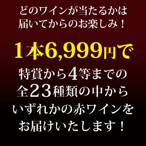 赤ワイン 高級ワインを探せ 赤ワイン福袋 シャルム シャンベルタン ルー デュモンが入ってるかも?  300セット WK 福袋 くじ 浜運 | ブランド登録なし | 03