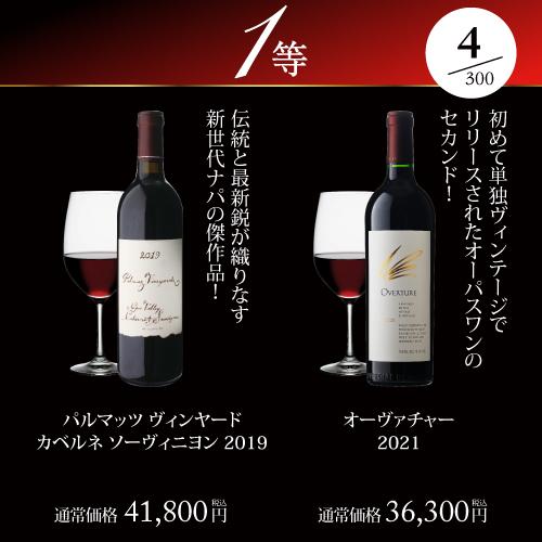 赤ワイン 高級ワインを探せ 赤ワイン福袋 シャルム シャンベルタン ルー デュモンが入ってるかも?  300セット WK 福袋 くじ 浜運 | ブランド登録なし | 06