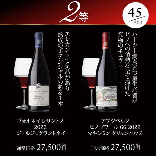 赤ワイン 高級ワインを探せ 赤ワイン福袋 シャルム シャンベルタン ルー デュモンが入ってるかも?  300セット WK 福袋 くじ 浜運 | ブランド登録なし | 09