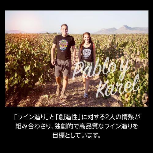 赤ワイン デムエルテ クラシック (2021) 750ml フルボディ スペイン スカル 髑髏  長S | ブランド登録なし | 05