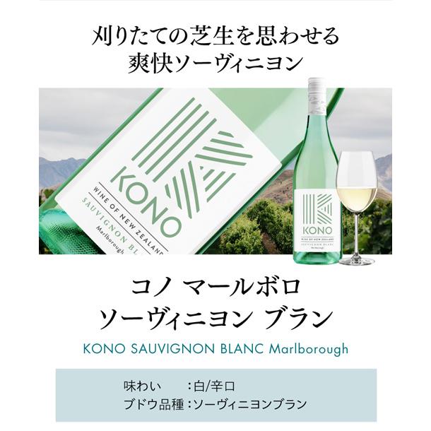 marno マーノ　シャーロットブラウス　ホワイト collection N°1 – MARNO