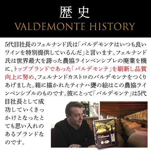 ワイン 箱ワインセット 赤 ボックスワイン 格安 箱ワイン 4本 バルデモンテ ダーク レッド 3l 3リットル 4箱 スペイン 送料無料 RSLA  超PAY祭