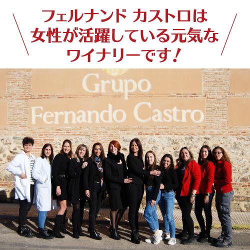 ボックスワイン 赤 箱ワイン バルデモンテ ダーク レッド 3l スペイン 辛口 750ml換算544円長S 虎 | ブランド登録なし | 05